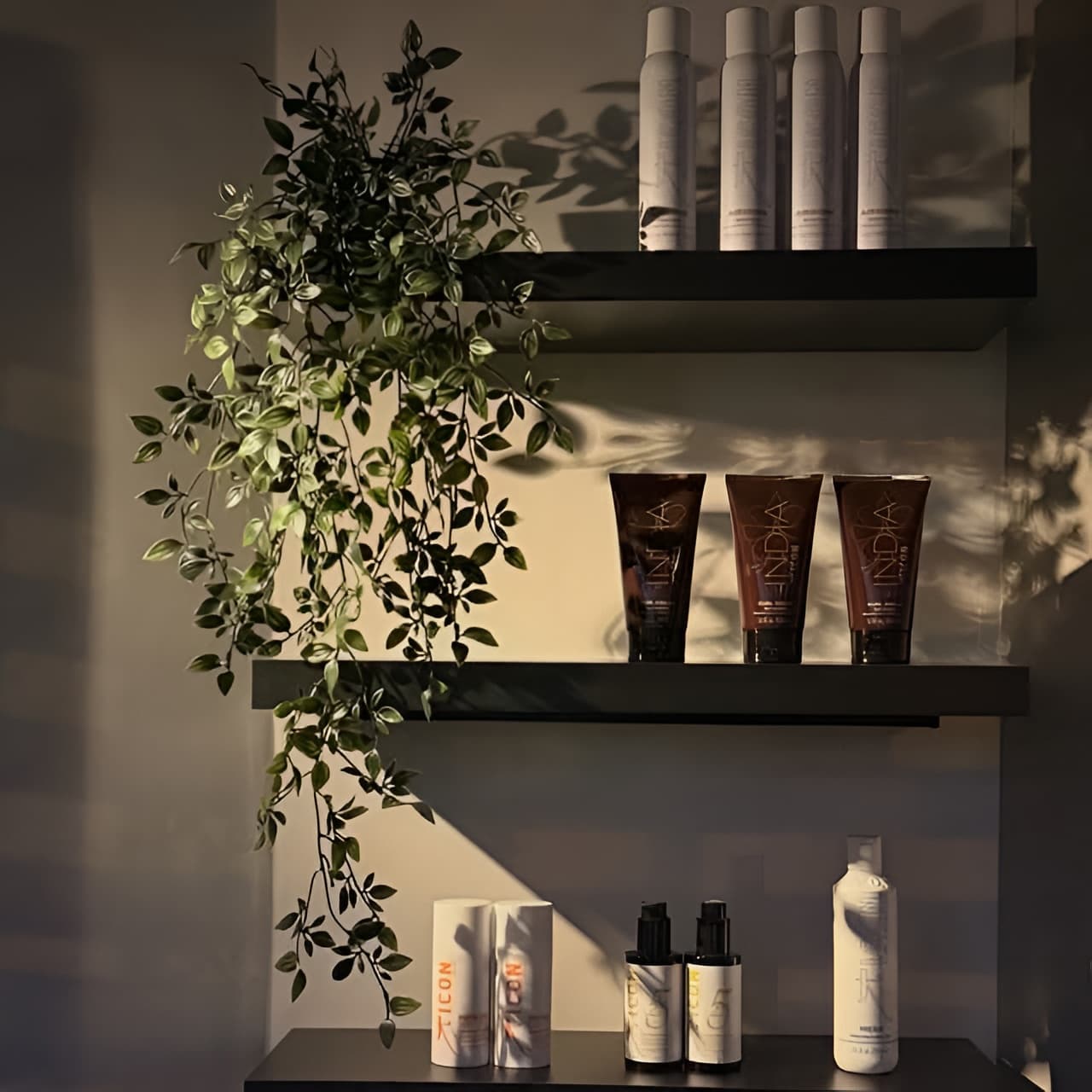 Resolvemos todas sus dudas